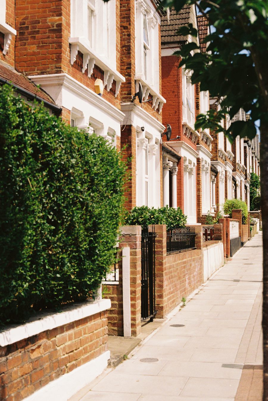 Row of brick houses along a sidewalk with a hedge