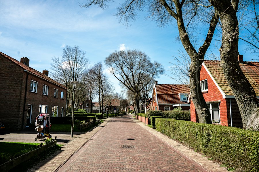 Quiet street lined with brick houses and trees