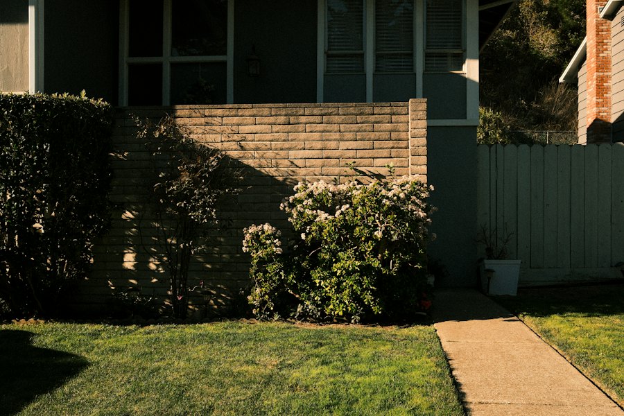 House exterior with a garden wall, privacy fence, and flowering shrubs